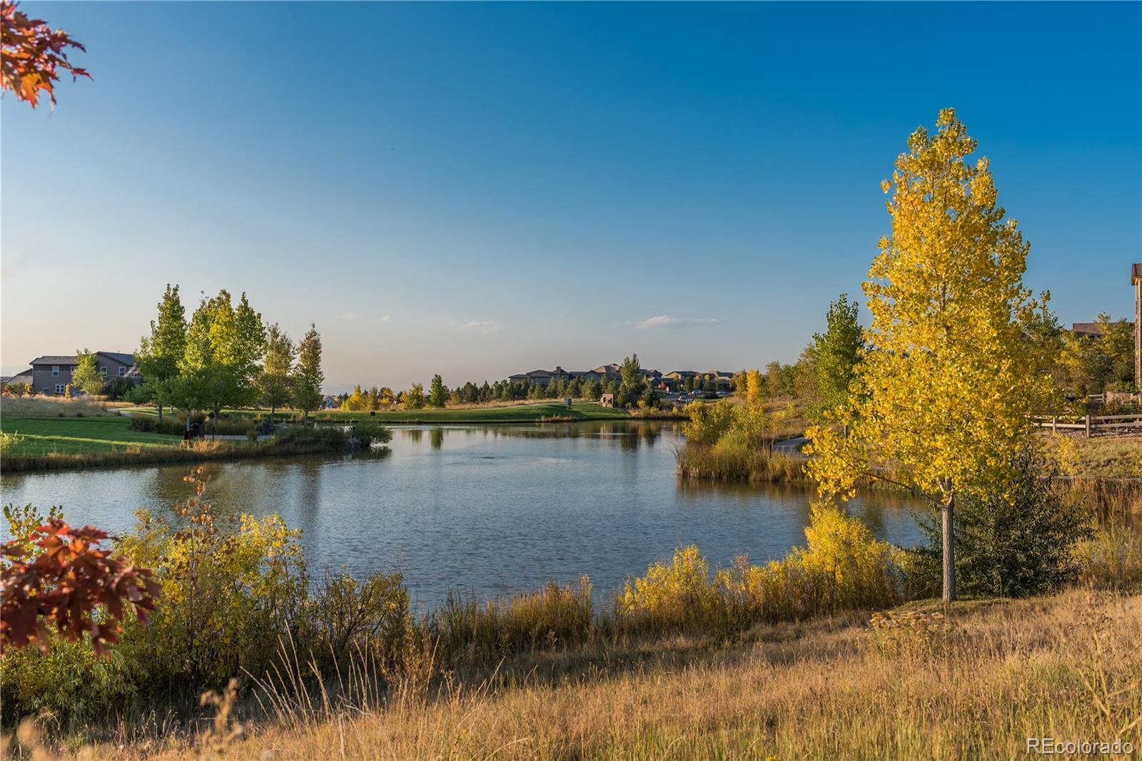 Highlands Ranch, Colorado, 80126, United States, 5 Bedrooms Bedrooms, ,7 BathroomsBathrooms,Residential,Active,2010899