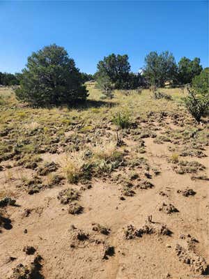 LOT 756 LOMITA VERDE PLACE, WALSENBURG, CO 81089 - Image 1