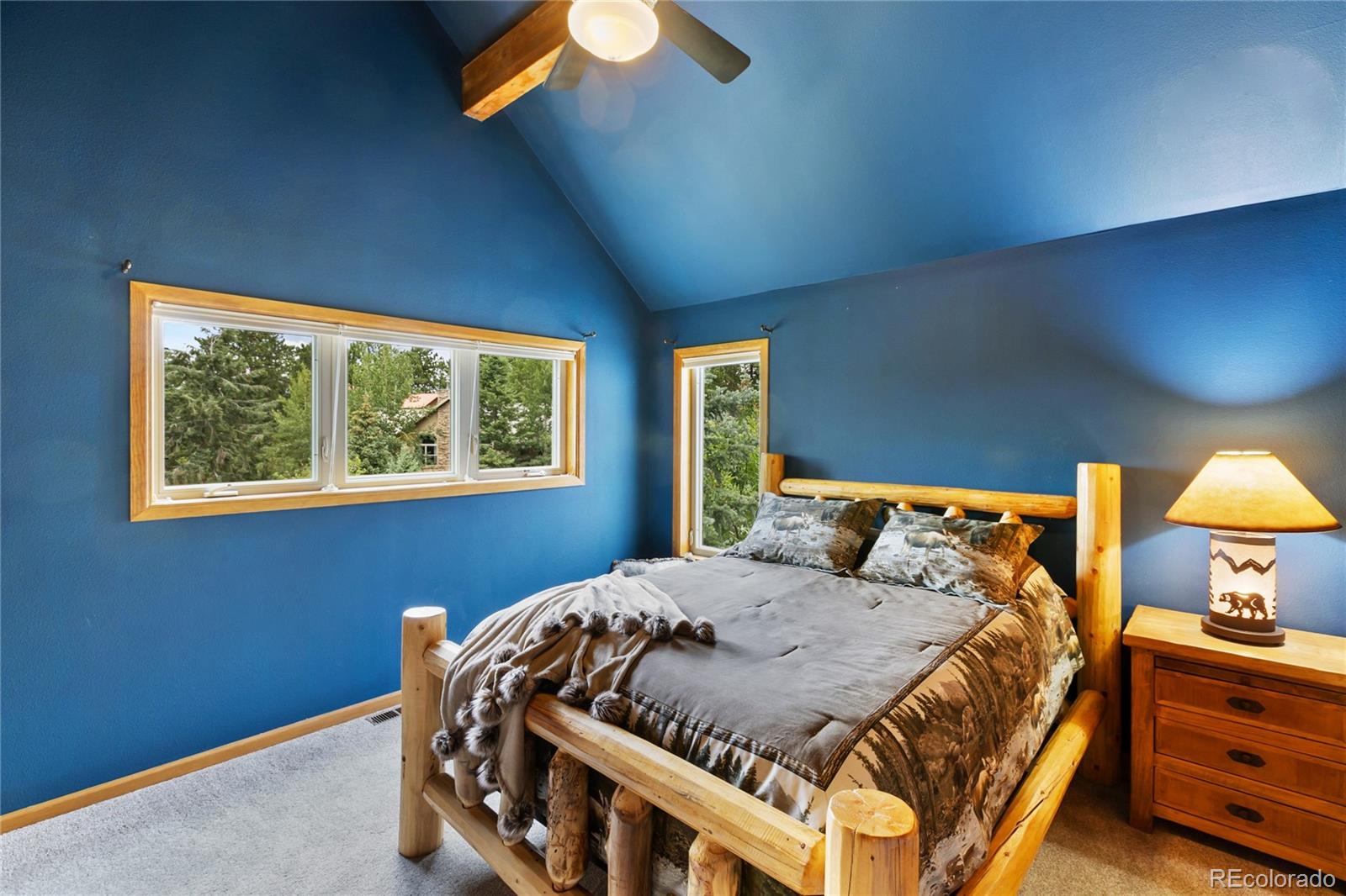 Woodland Park, Colorado, 80863, United States, 6 Bedrooms Bedrooms, ,5 BathroomsBathrooms,Residential,Active,1899223