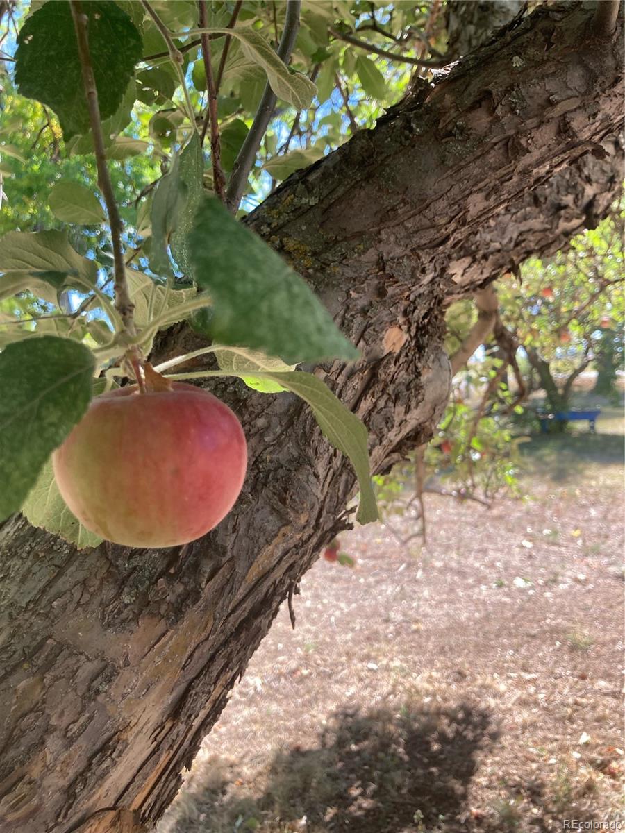 Longmont, Colorado, 80503, United States, 4 Bedrooms Bedrooms, ,2 BathroomsBathrooms,Residential,Active,1945852