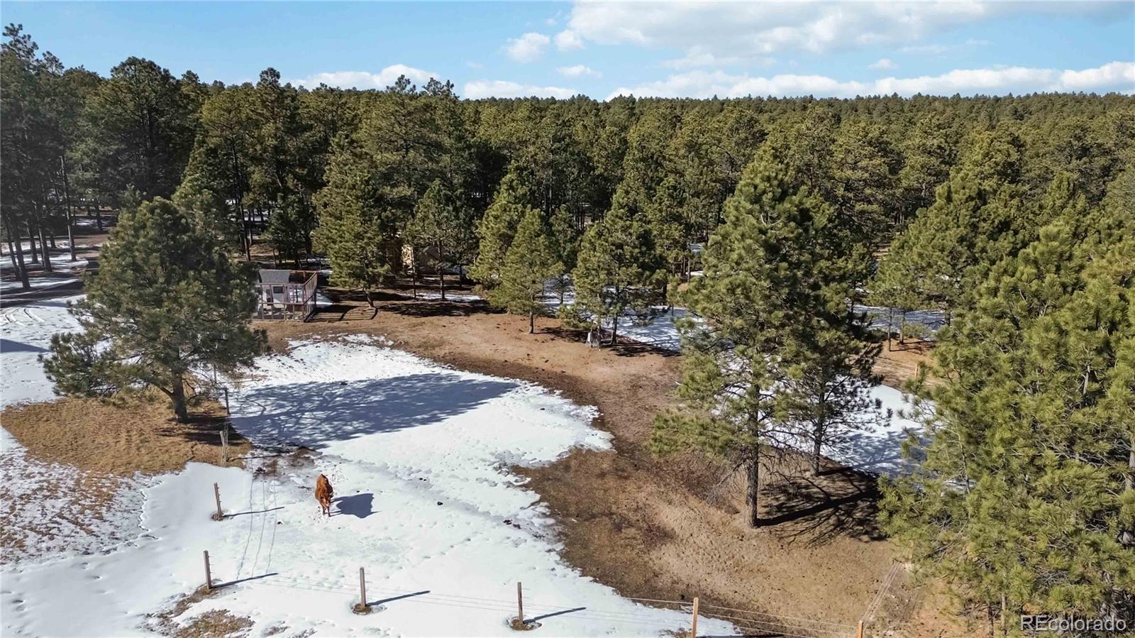 Colorado Springs, Colorado, 80908, United States, 9 Bedrooms Bedrooms, ,6 BathroomsBathrooms,Residential,Active,2015791