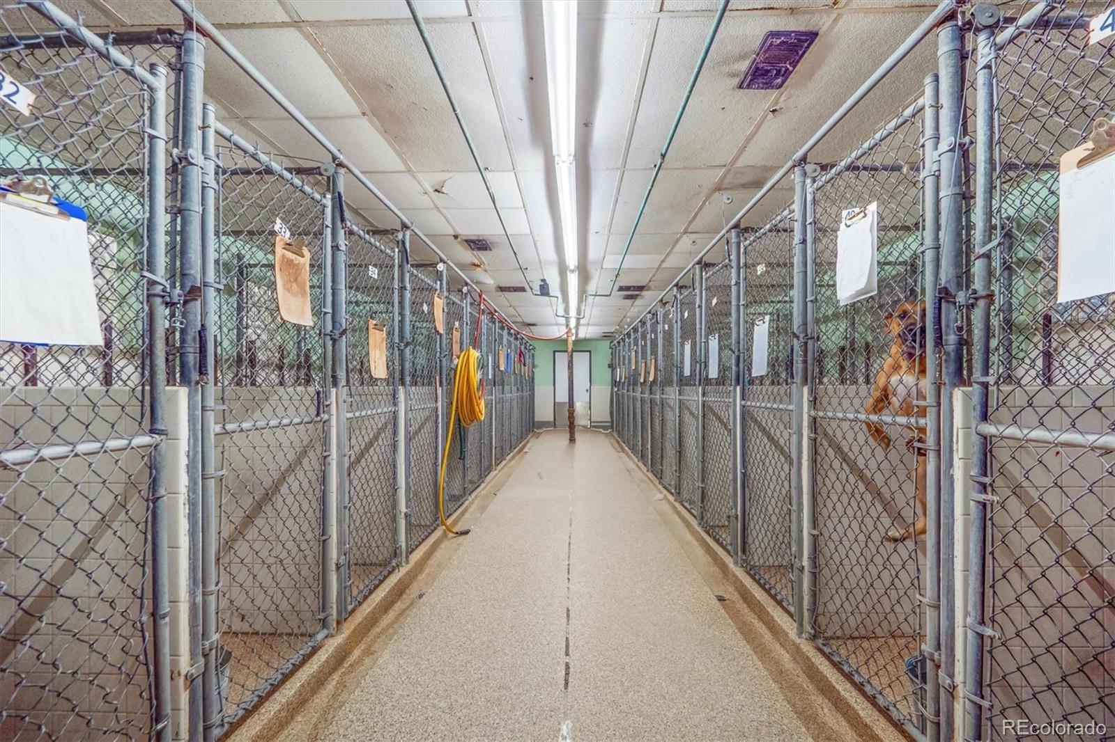 Lakewood, Colorado, 80227, United States, 3 Bedrooms Bedrooms, ,2 BathroomsBathrooms,Residential,Active,1952501