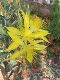 Boulder, Colorado, 80304, United States, 5 Bedrooms Bedrooms, ,4 BathroomsBathrooms,Residential,Active,1998570
