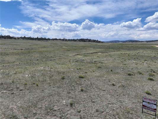 236 CHEYENNE TRL, HARTSEL, CO 80449 - Image 1