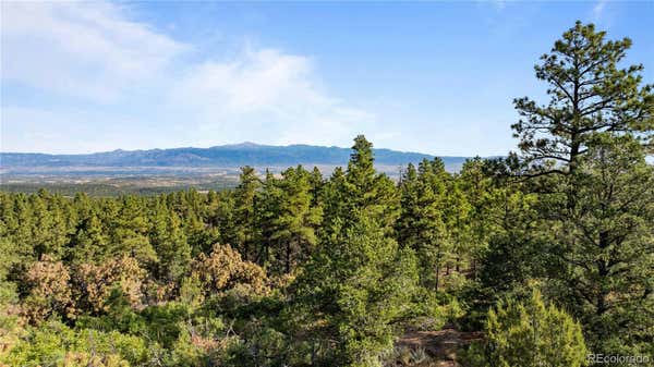 TWIN CREEK ROAD, FLORENCE, CO 81226 - Image 1