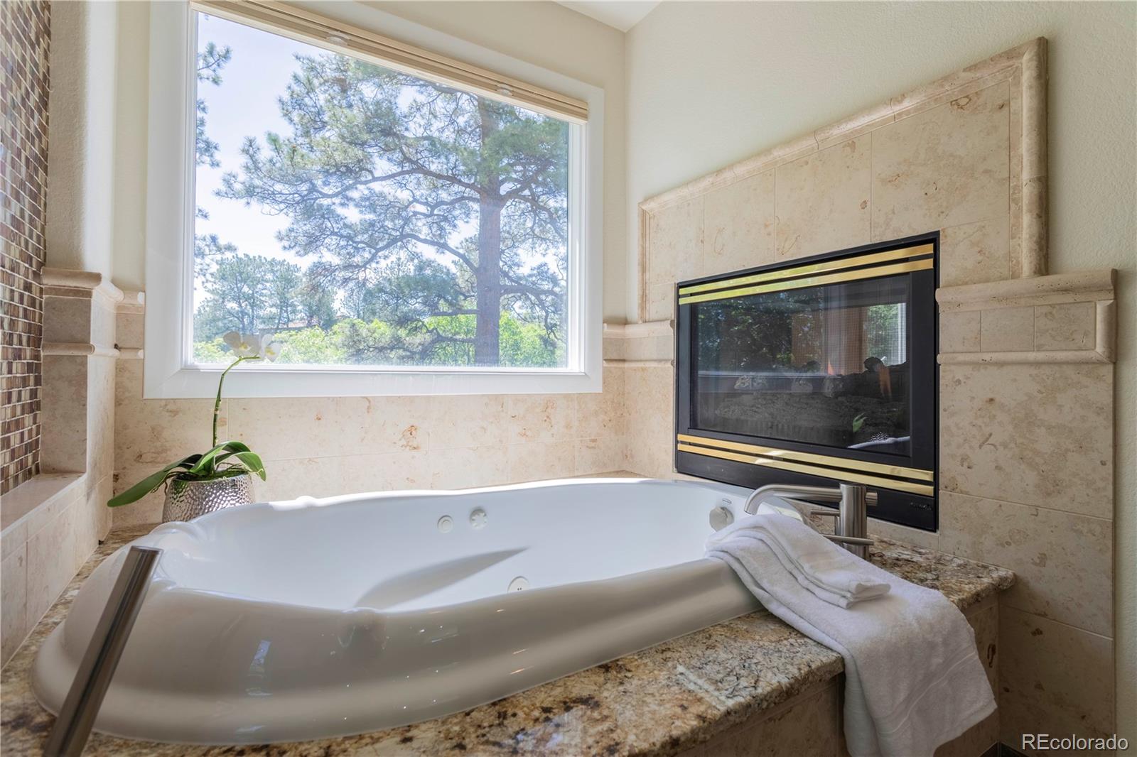 Castle Rock, Colorado, 80108, United States, 4 Bedrooms Bedrooms, ,5 BathroomsBathrooms,Residential,Active,1888500