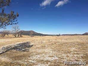 12250 SPRUCE MOUNTAIN RD, LARKSPUR, CO 80118 - Image 1