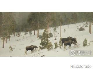 Black Hawk, Colorado, 80422, United States, ,4 BathroomsBathrooms,Residential,Active,1849208