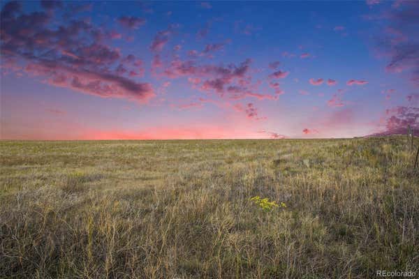 36060 HANISCH RD, CALHAN, CO 80808 - Image 1