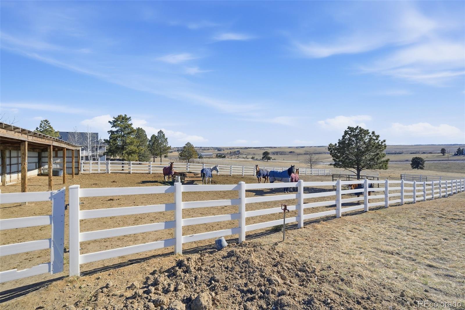Parker, Colorado, 80138, United States, 5 Bedrooms Bedrooms, ,7 BathroomsBathrooms,Residential,Active,2013642