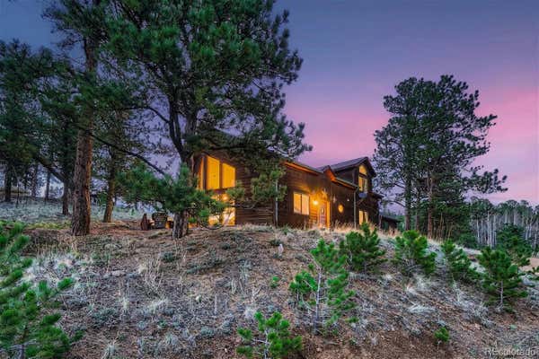 311 NEAL RD, BAILEY, CO 80421 - Image 1