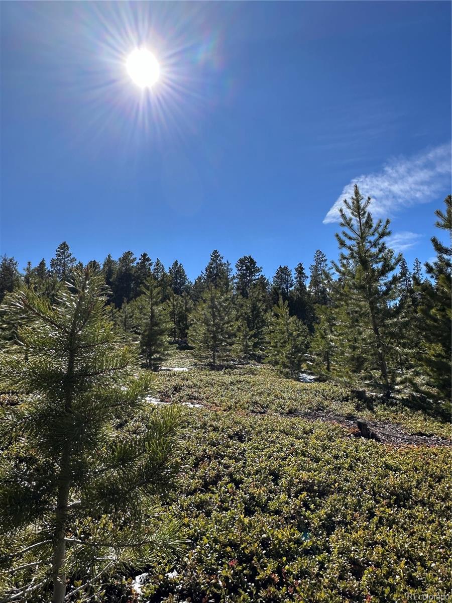 Black Hawk, Colorado, 80422, United States, 3 Bedrooms Bedrooms, ,1 BathroomBathrooms,Residential,Active,1945263