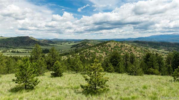 112 SPRUCE LN, CANON CITY, CO 81212 - Image 1