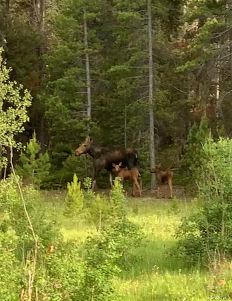 Black Hawk, Colorado, 80422, United States, 3 Bedrooms Bedrooms, ,1 BathroomBathrooms,Residential,Active,1945263