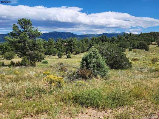 15 ARROYO AVE, SILVER CLIFF, CO 81252 - Image 1