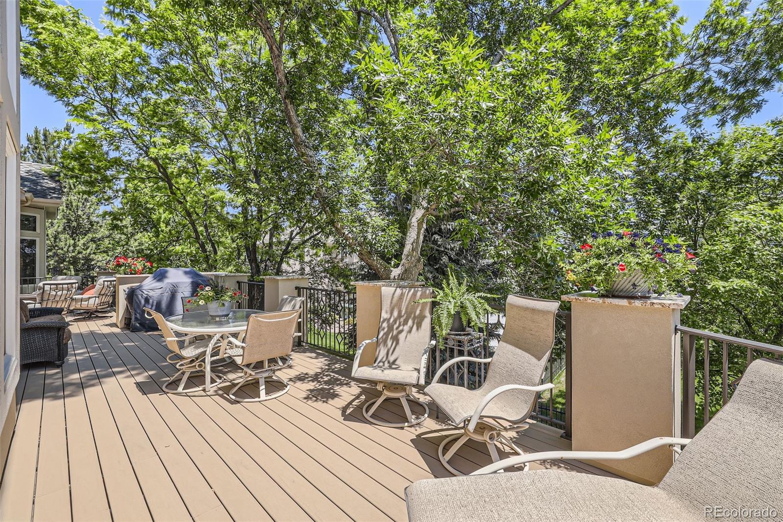 Littleton, Colorado, 80128, United States, 5 Bedrooms Bedrooms, ,5 BathroomsBathrooms,Residential,Active,2025658