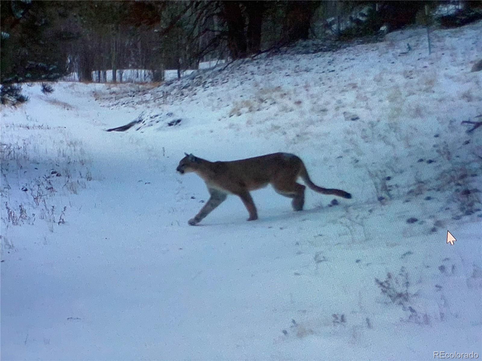 Black Hawk, Colorado, 80422, United States, 3 Bedrooms Bedrooms, ,1 BathroomBathrooms,Residential,Active,1945263