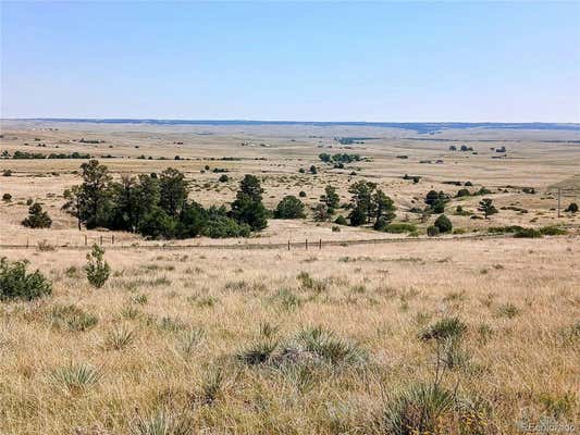 16550 PRIVATE ROAD 146 # PARCEL, KIOWA, CO 80117, photo 5 of 10