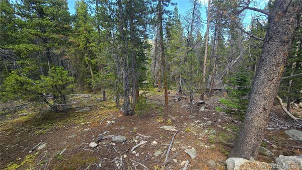 ALICE ROAD, IDAHO SPRINGS, CO 80444 - Image 1