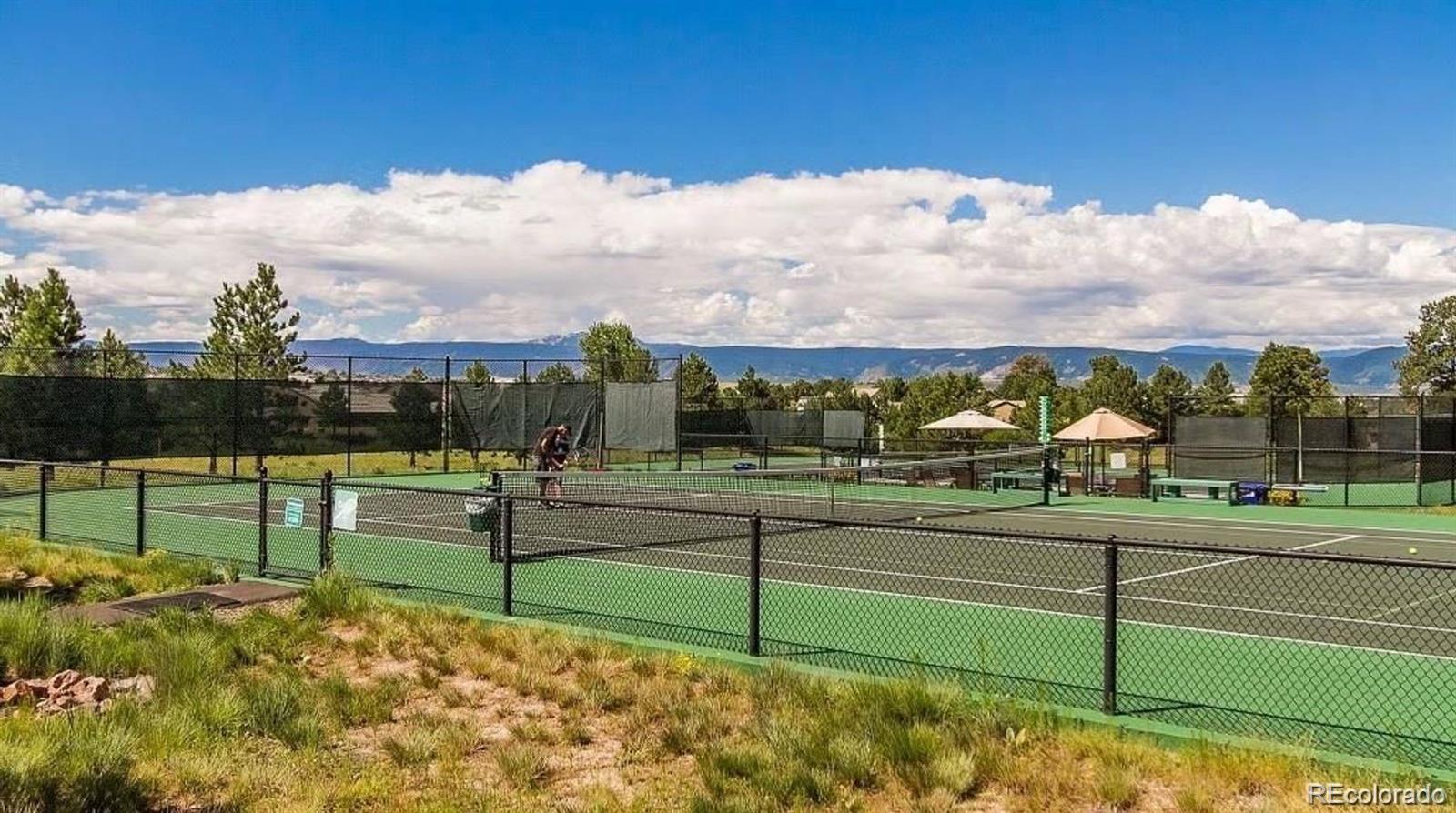 Castle Rock, Colorado, 80108, United States, 3 Bedrooms Bedrooms, ,4 BathroomsBathrooms,Residential,Active,1929695