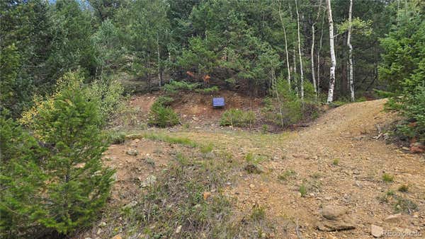 HECLA AND OLYMPIC MINES, DUMONT, CO 80436 - Image 1