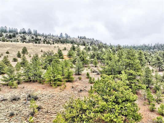 0 COHONINA ROAD, HARTSEL, CO 80449 - Image 1