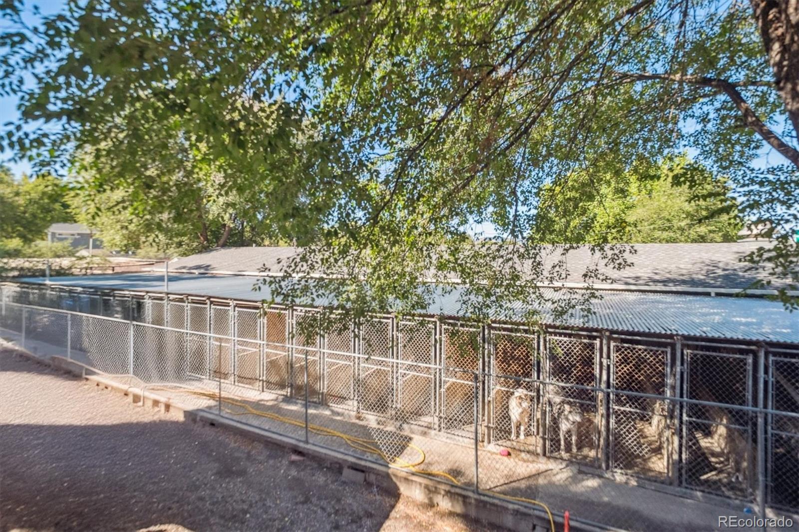 Lakewood, Colorado, 80227, United States, 3 Bedrooms Bedrooms, ,2 BathroomsBathrooms,Residential,Active,2043793