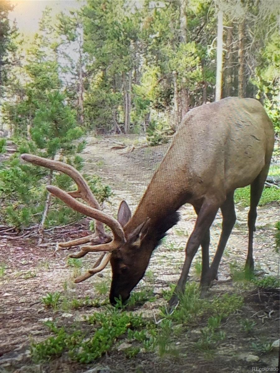 Black Hawk, Colorado, 80422, United States, 3 Bedrooms Bedrooms, ,1 BathroomBathrooms,Residential,Active,1945263