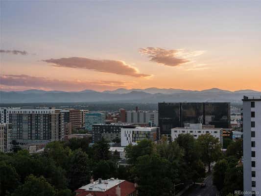 800 N PEARL ST APT 1205, DENVER, CO 80203 - Image 1