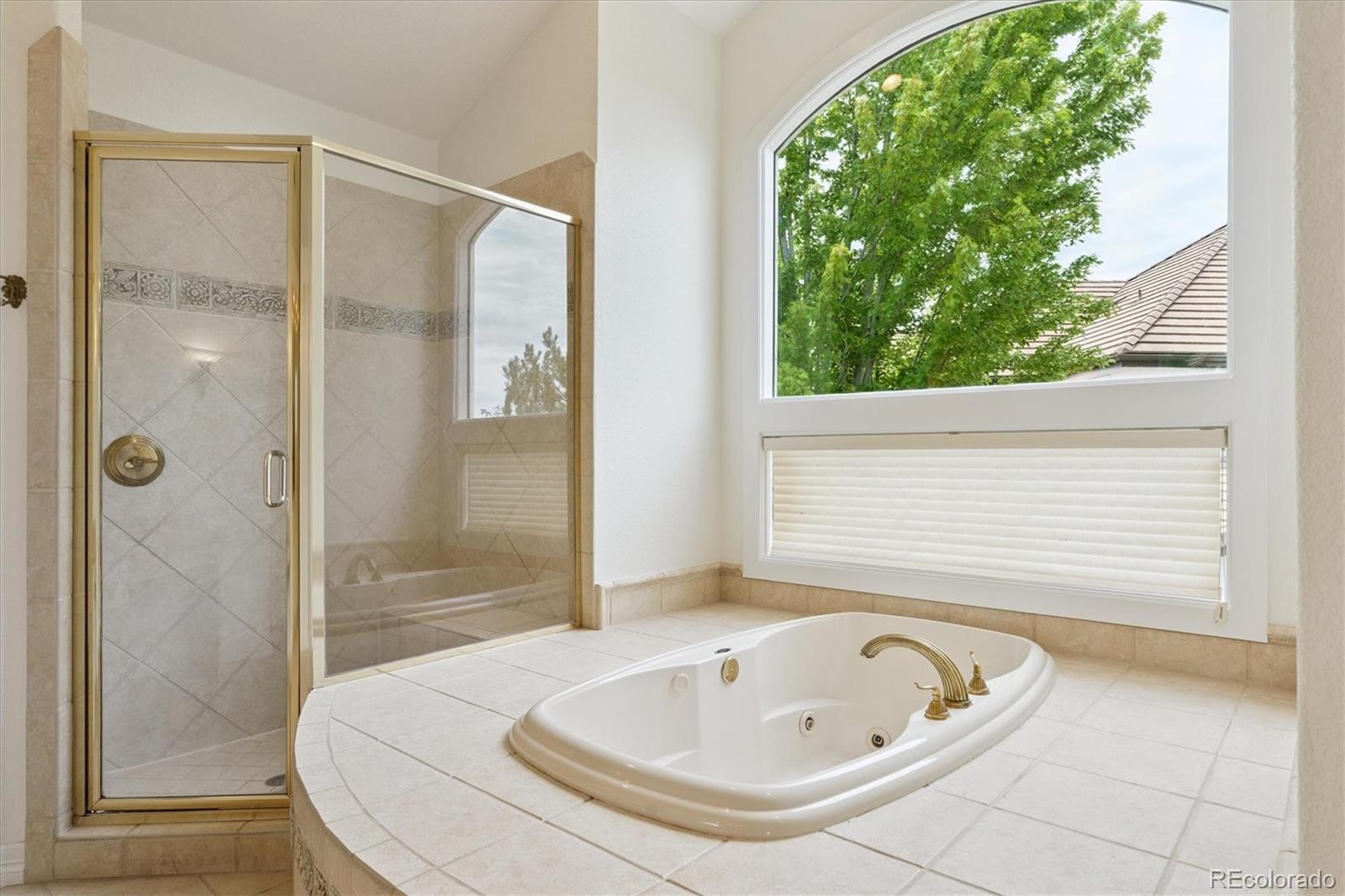 Lone Tree, Colorado, 80124, United States, 6 Bedrooms Bedrooms, ,5 BathroomsBathrooms,Residential,Active,1798134