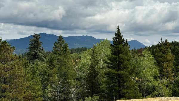 001 PEWABIC MINE ROAD, CENTRAL CITY, CO 80427 - Image 1