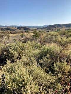 21 CHOLLA CT # 21, CANON CITY, CO 81212, photo 1 of 3