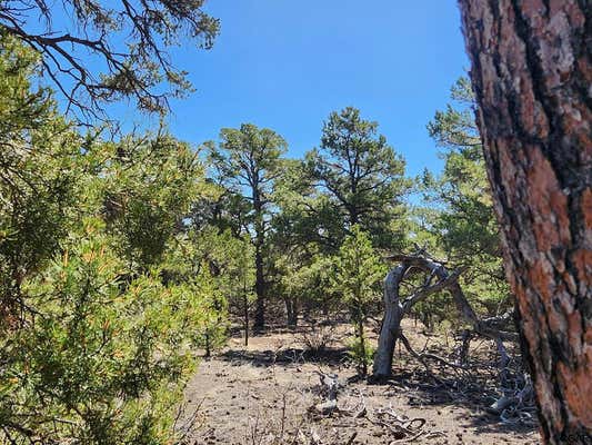 TBD L PATH, COTOPAXI, CO 81223, photo 2 of 8