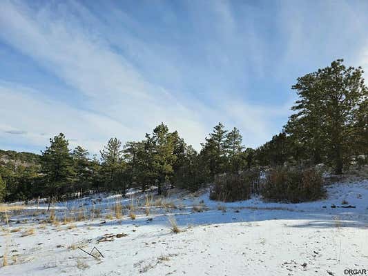 2192 VISTA VIEW RD, CANON CITY, CO 81212, photo 4 of 9