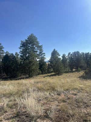 1474 ELKHORN RD, COTOPAXI, CO 81223 - Image 1