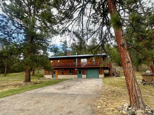 21501 CHALK CREEK DR, NATHROP, CO 81236 - Image 1