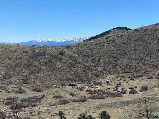 TR 112 25TH TRAIL, COTOPAXI, CO 81223, photo 2 of 31