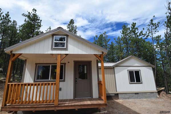 105 BULL DOMINGO LN, WESTCLIFFE, CO 81252 - Image 1