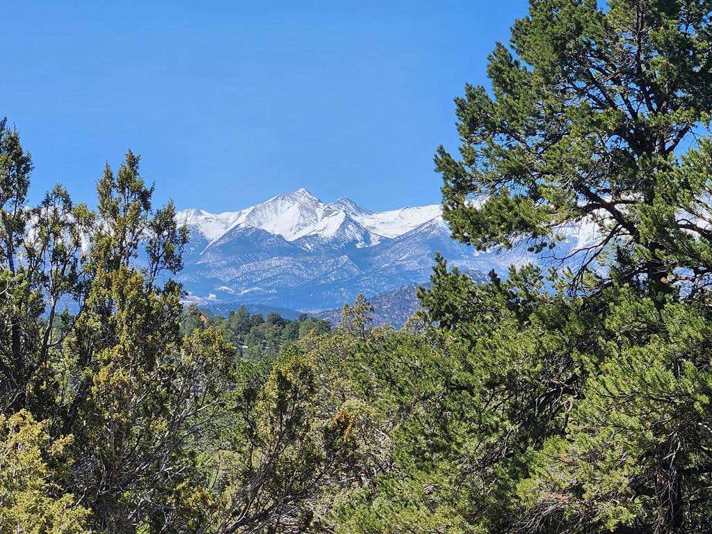 TBD L PATH, COTOPAXI, CO 81223, photo 1 of 12