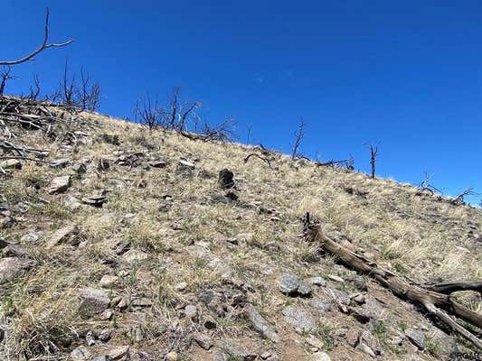 TR 112 25TH TRAIL, COTOPAXI, CO 81223, photo 4 of 31