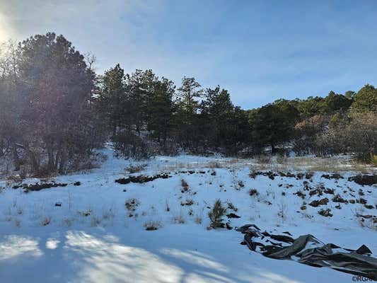 2192 VISTA VIEW RD, CANON CITY, CO 81212, photo 3 of 9