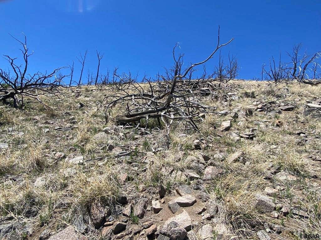 TR 112 25TH TRAIL, COTOPAXI, CO 81223, photo 1 of 31