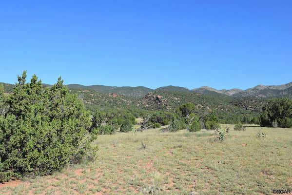 TBD CR 132, PENROSE, CO 81240 - Image 1