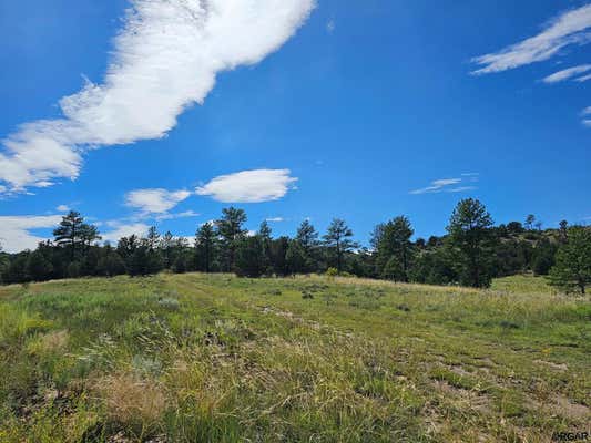 159 MAC DONNELL LOOP, COTOPAXI, CO 81223 - Image 1