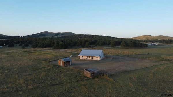 2576 L PATH, COTOPAXI, CO 81223, photo 4 of 39