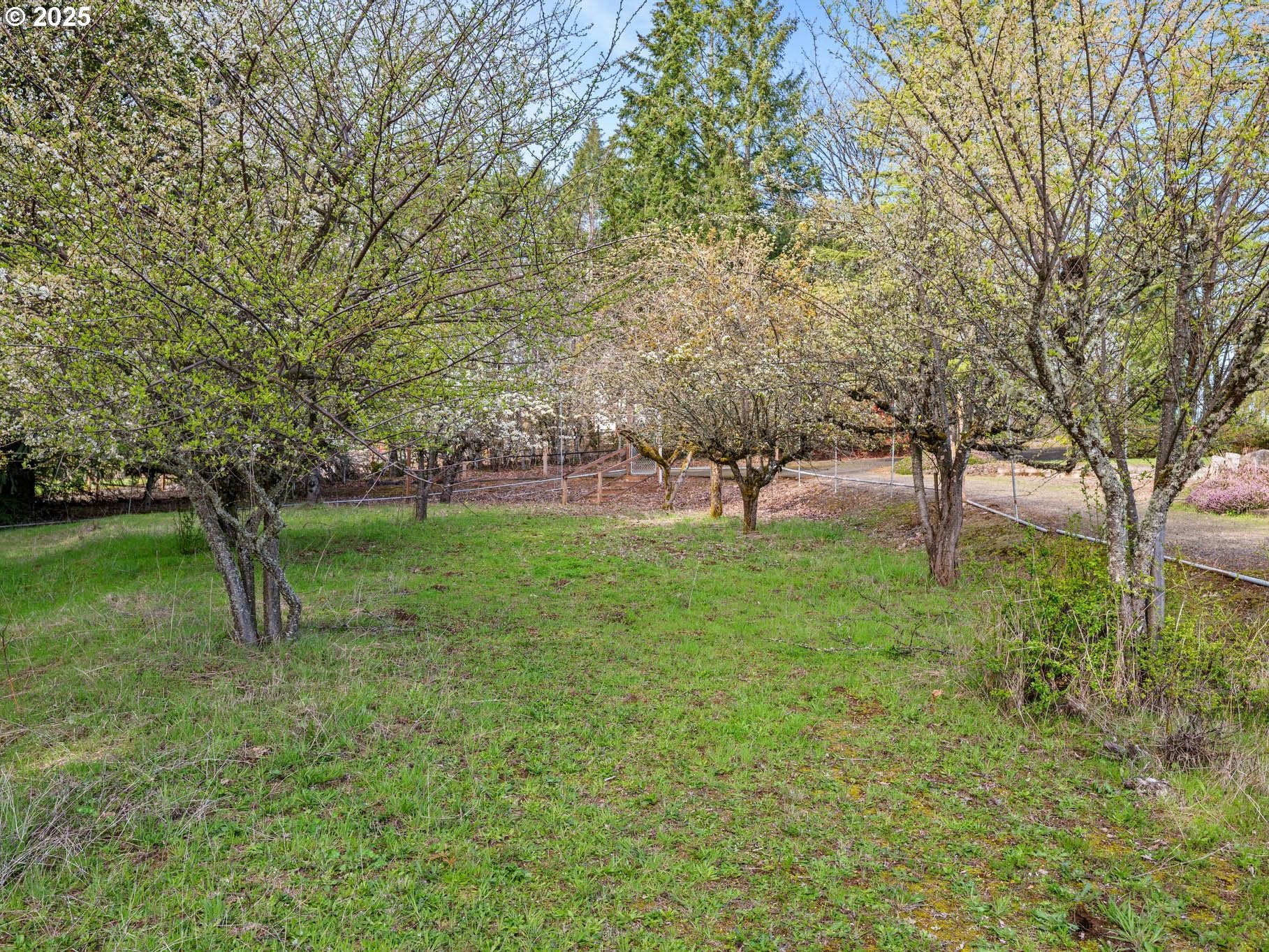 North Plains, Oregon, 97133, United States, 5 Bedrooms Bedrooms, ,4 BathroomsBathrooms,Residential,Active,1963264