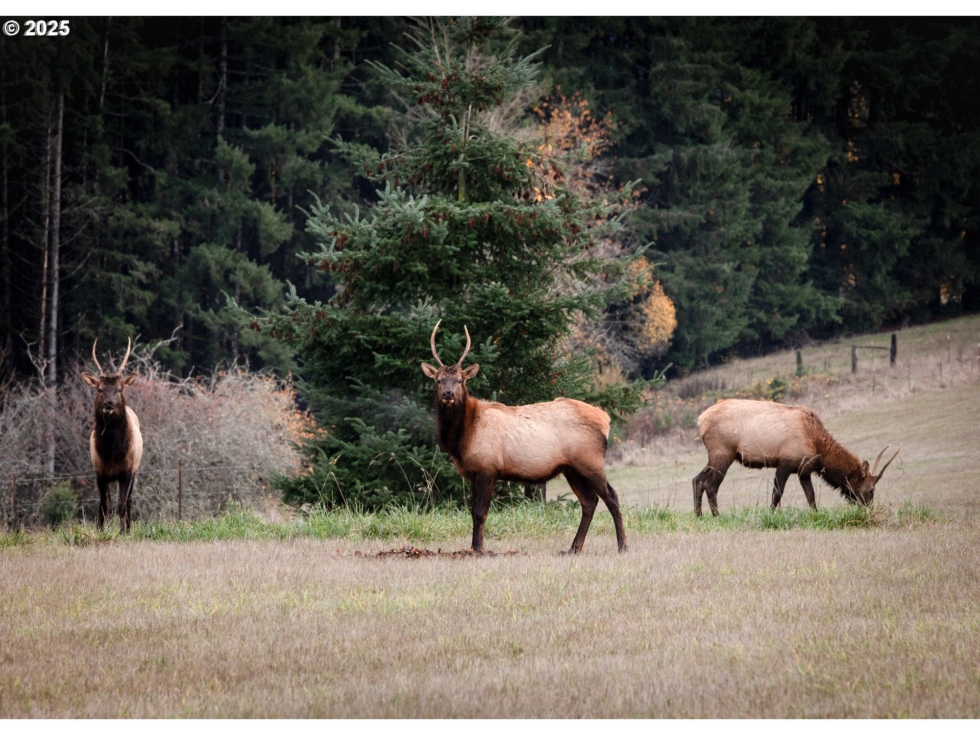 St. Helens, Oregon, 97051, United States, ,4 BathroomsBathrooms,Residential,Active,1888504