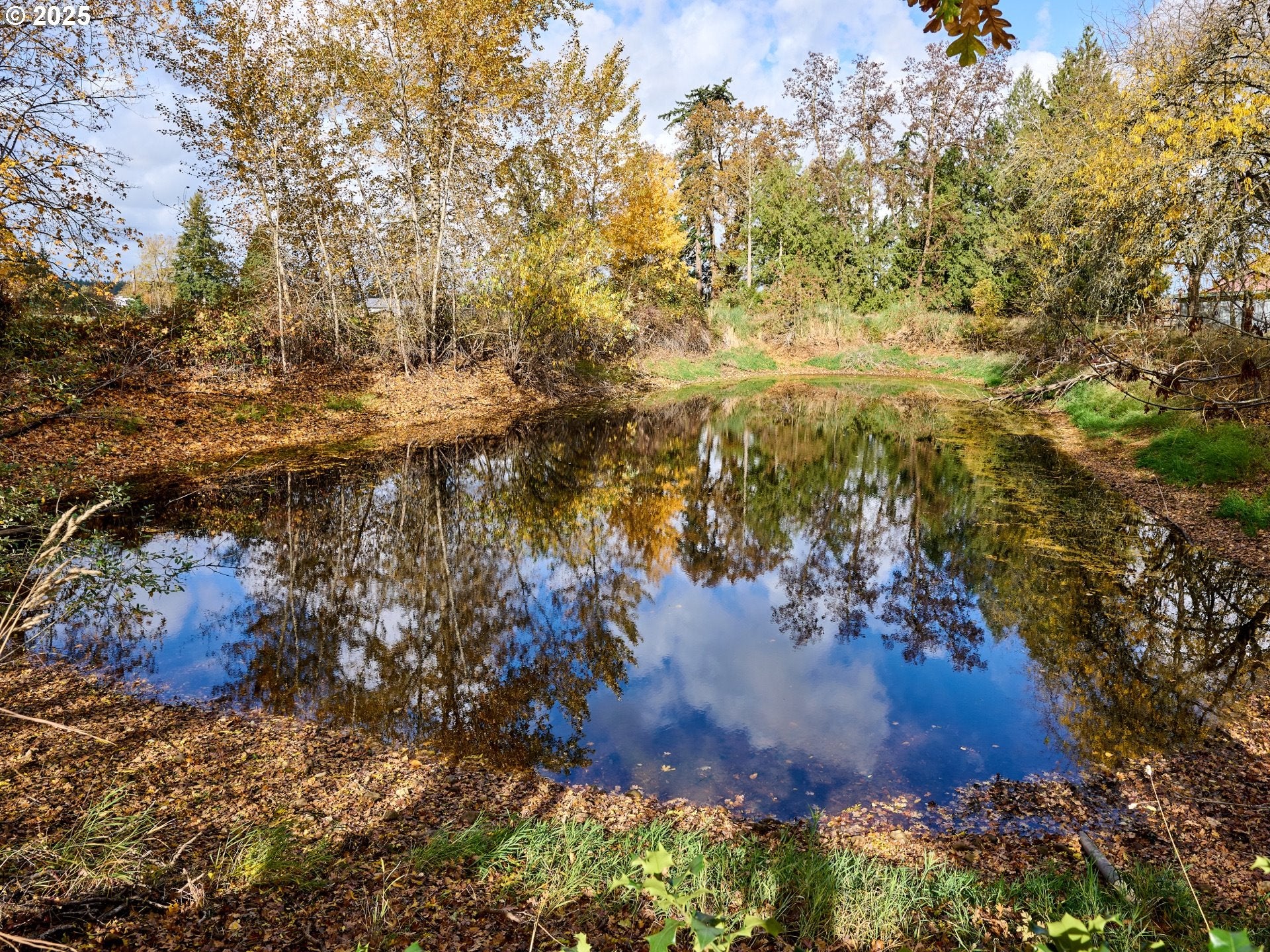 Molalla, Oregon, 97038, United States, 3 Bedrooms Bedrooms, ,2 BathroomsBathrooms,Residential,Active,1988718