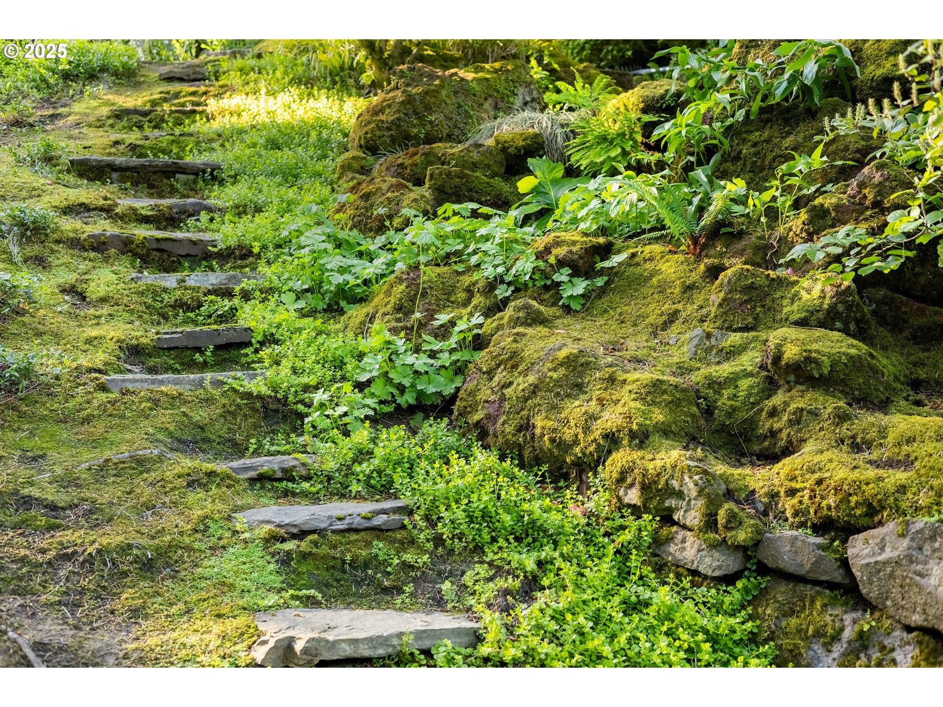 Portland, Oregon, 97239, United States, 4 Bedrooms Bedrooms, ,5 BathroomsBathrooms,Residential,Active,1772733