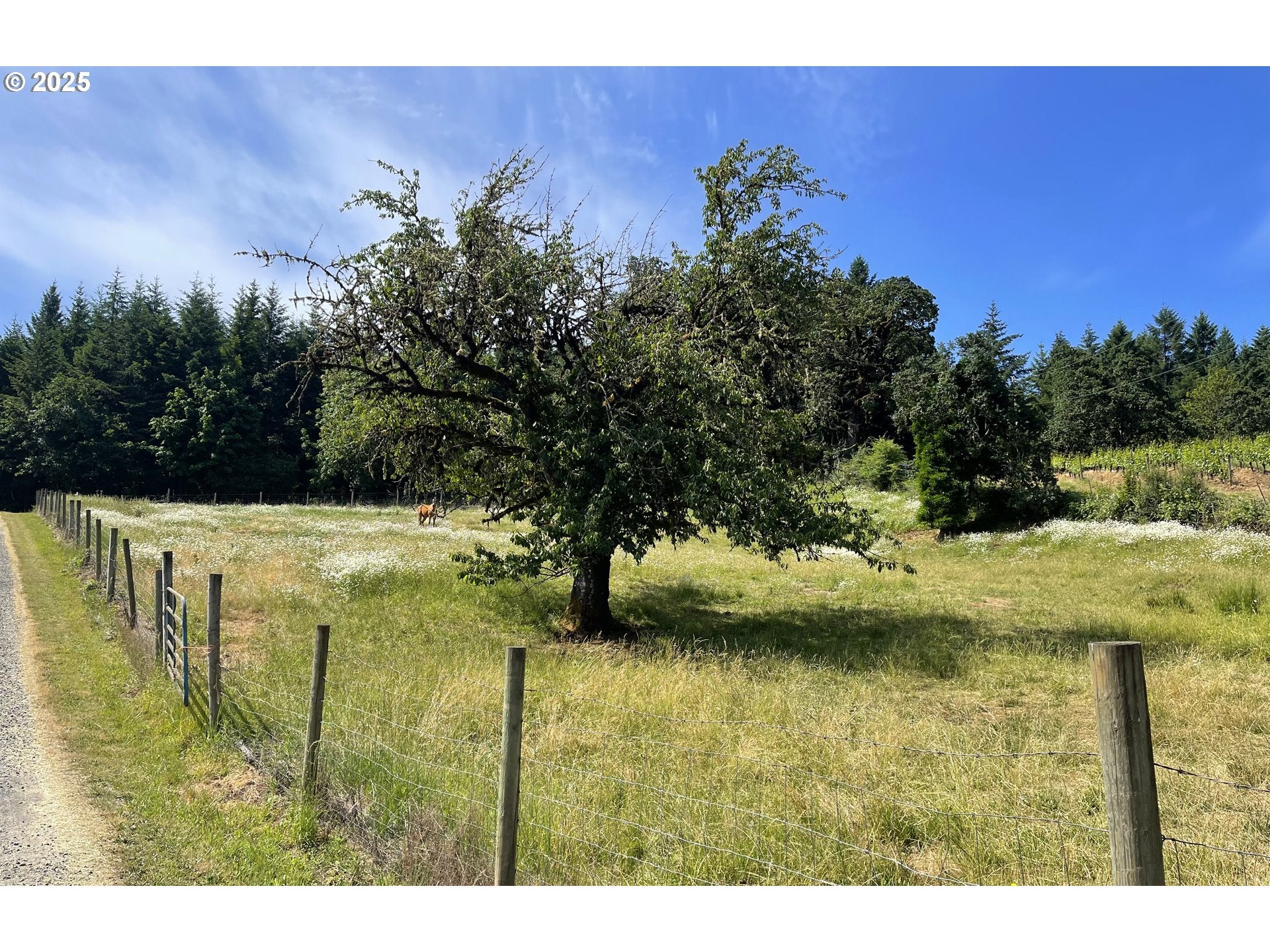 Mcminnville, Oregon, 97128, United States, 4 Bedrooms Bedrooms, ,3 BathroomsBathrooms,Residential,Active,1853796